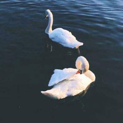 中欧体育最新地址